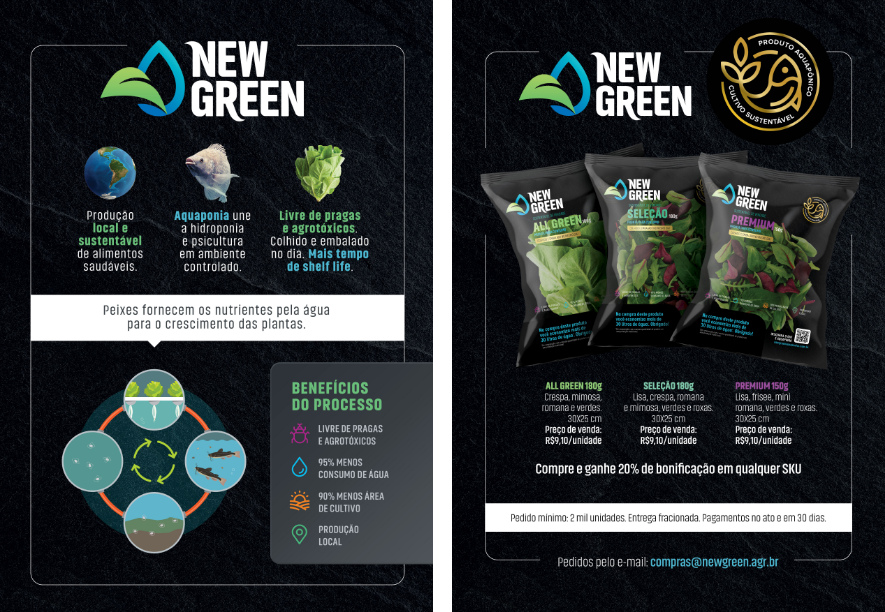 New Green - Infográfico de Identidade Visual